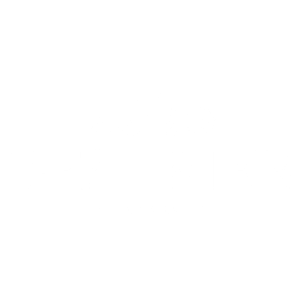 Destrier Bike
